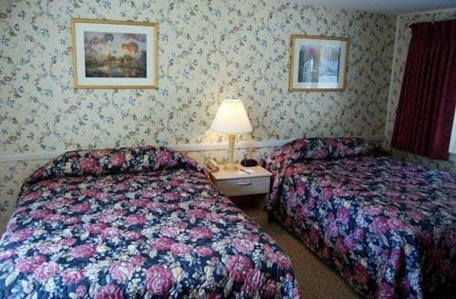 Oxen Yoke Motel North Conway Dış mekan fotoğraf